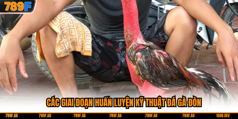 Các giai đoạn huấn luyện kỹ thuật đá gà đòn