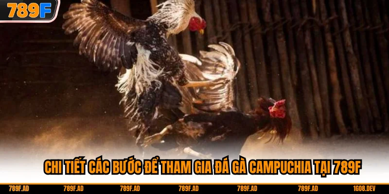 Chi tiết các bước để tham gia đá gà Campuchia tại 789F
