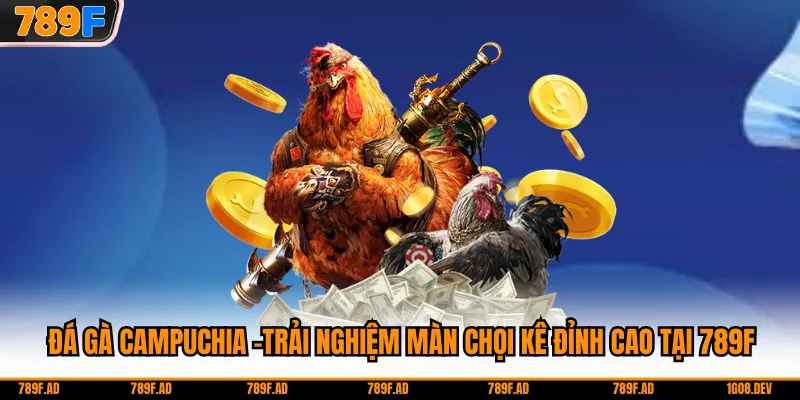 Đá Gà Campuchia -Trải Nghiệm Màn Chọi Kê Đỉnh Cao Tại 789F