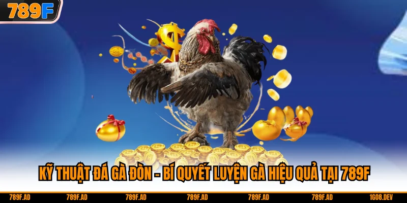 Kỹ Thuật Đá Gà Đòn - Bí Quyết Luyện Gà Hiệu Quả Tại 789F