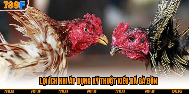 Lợi ích khi áp dụng kỹ thuật kiểu đá gà đòn