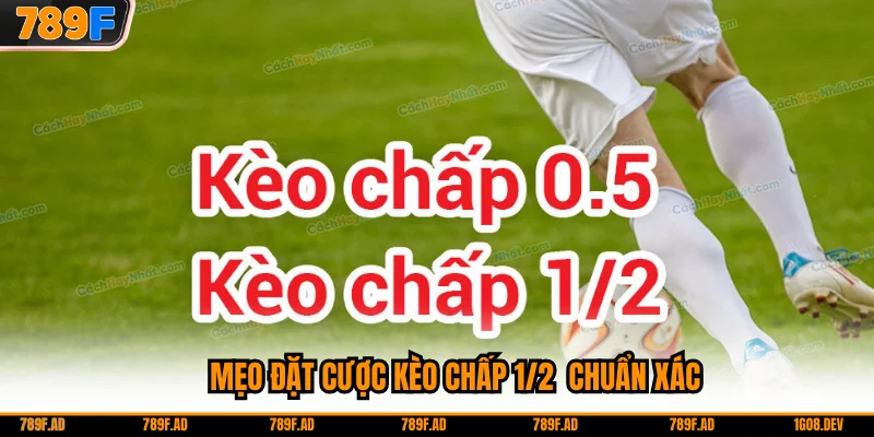 Mẹo đặt cược kèo chấp 1/2  chuẩn xác